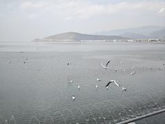 -小普陀