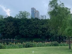 -南宁南湖公园