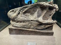 -自贡恐龙博物馆