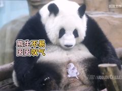 -成都动物园