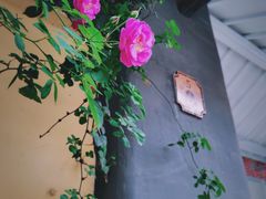 -颐和路民国时期公馆-风貌区