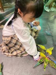 -酷嗒动物文化乐园(cutezoo西溪乐天城店)