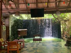 -卷心菜和避孕套餐厅(Pattaya)