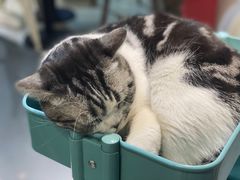 -小时光咖啡馆(开森度假森林店)