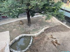 -深圳野生动物园