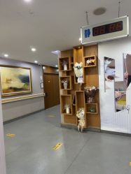 -杭州米兰柏羽医疗美容医院