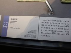 -东京国立博物馆法隆寺宝物馆