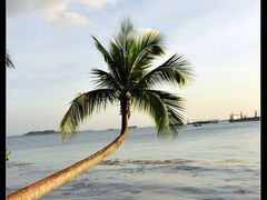 -巴拉湾海滩