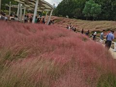 -牛岗山公园