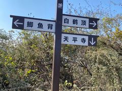 -灵岩山风景区