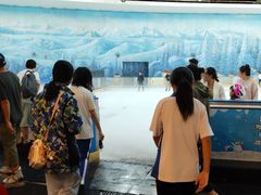 -世界之窗阿尔卑斯冰雪世界