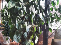 -盐帮食坊•小河帮川菜(四川师大店)