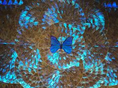 -上海昆虫博物馆