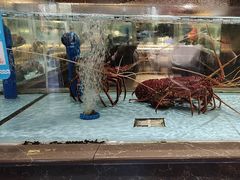 -阿伟海鲜楼·福建菜(延寿店)