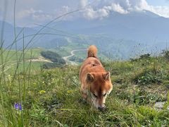 -灵山