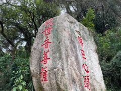 -青芝山风景名胜区