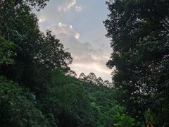 -广州白江湖森林公园