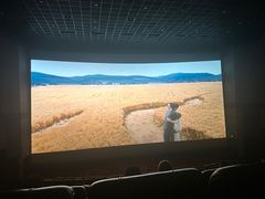 -万达影城(虎门万达广场IMAX店)