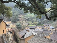 -杨家堂村