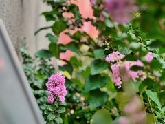 -库迪咖啡(兆丰广场店)