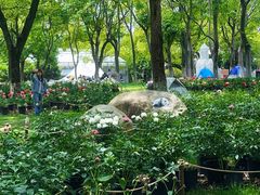 -上海鲜花港