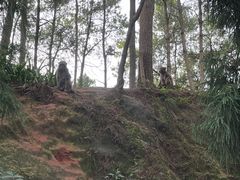 -重庆雨台山风景区