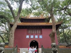 -普陀山风景名胜区-法雨禅寺