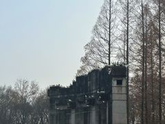 -音乐台