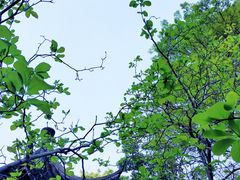 -深圳国际园林花卉博览园