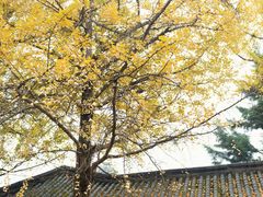 -金堂县云顶石城风景区