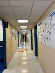 -杭州贝瑞斯美华妇儿医院·早孕·产检·儿科