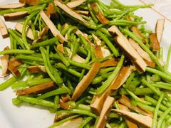 -丁老爷子苏香圆