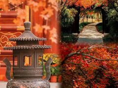-香山公园