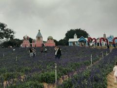 -松山湖梦幻百花洲