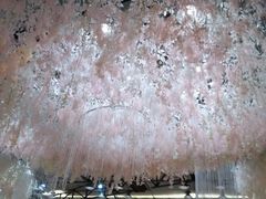 -雅和生态渔庄·宜城锅巴饭(龙灵山公园店)