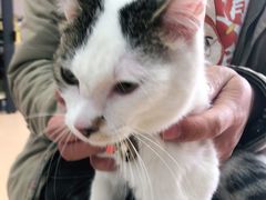 -小叮当动物医院·骨科·眼科