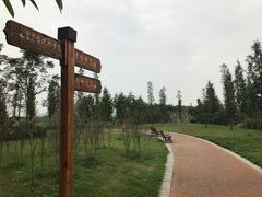 景点-眉山湿地公园(东坡区)
