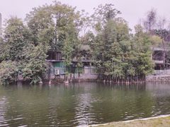 -荔湾湖公园
