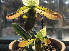 -国家植物园南园