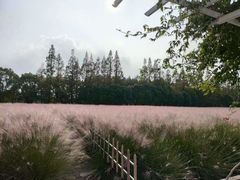 -嘉北郊野公园