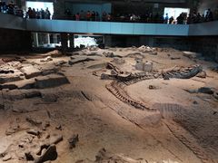 -自贡恐龙博物馆