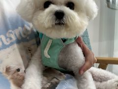 -佳雯宠物医院·皮肤科·内外科(春晓路分院)