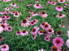 -长春公园(普阳街道)