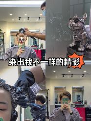 -showcase·形象沙龙