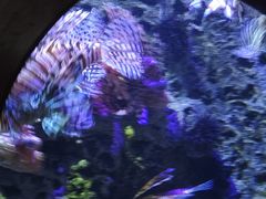 -太平洋海底世界