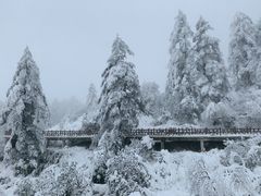 -瓦屋山景区