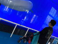 -泉城欧乐堡海洋极地世界