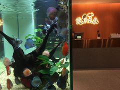 -黄鱼炙夜(华家池店)