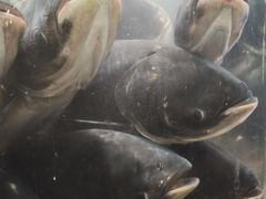 -上名堂·鱼头好吃(体育场路店)