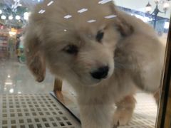 -乐宠宠物店(世纪金源店)